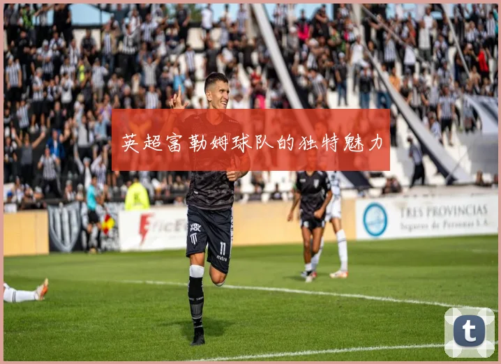 英超富勒姆球队的独特魅力