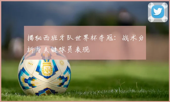 揭秘西班牙队世界杯夺冠：战术分析与关键球员表现