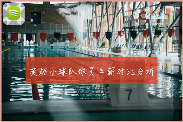 英超小球队球员年薪对比分析