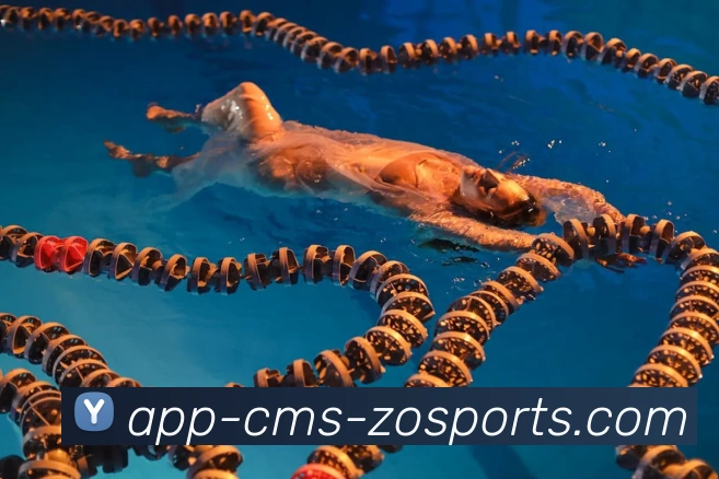 中欧体育APP品牌故事