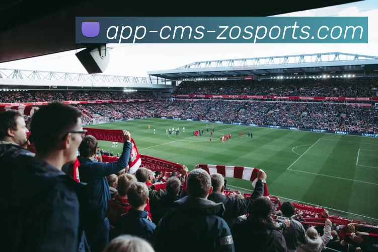 中欧体育APP服务体系